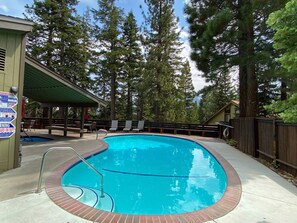 Condo, 1 King Bed with Sofa bed, Patio, Mountain View (Hidden Valley Homestead) | Pool