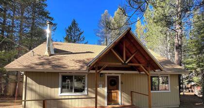 Stout House Cabin - Your Kids Favorite Backyard!