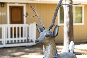 Exterior detail - Stout House Cabin - Your Kids Favorite Backyard! (South Lake Tahoe)