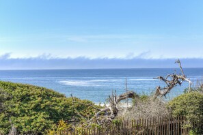 Beach - Ocean Bungalow (Gualala)