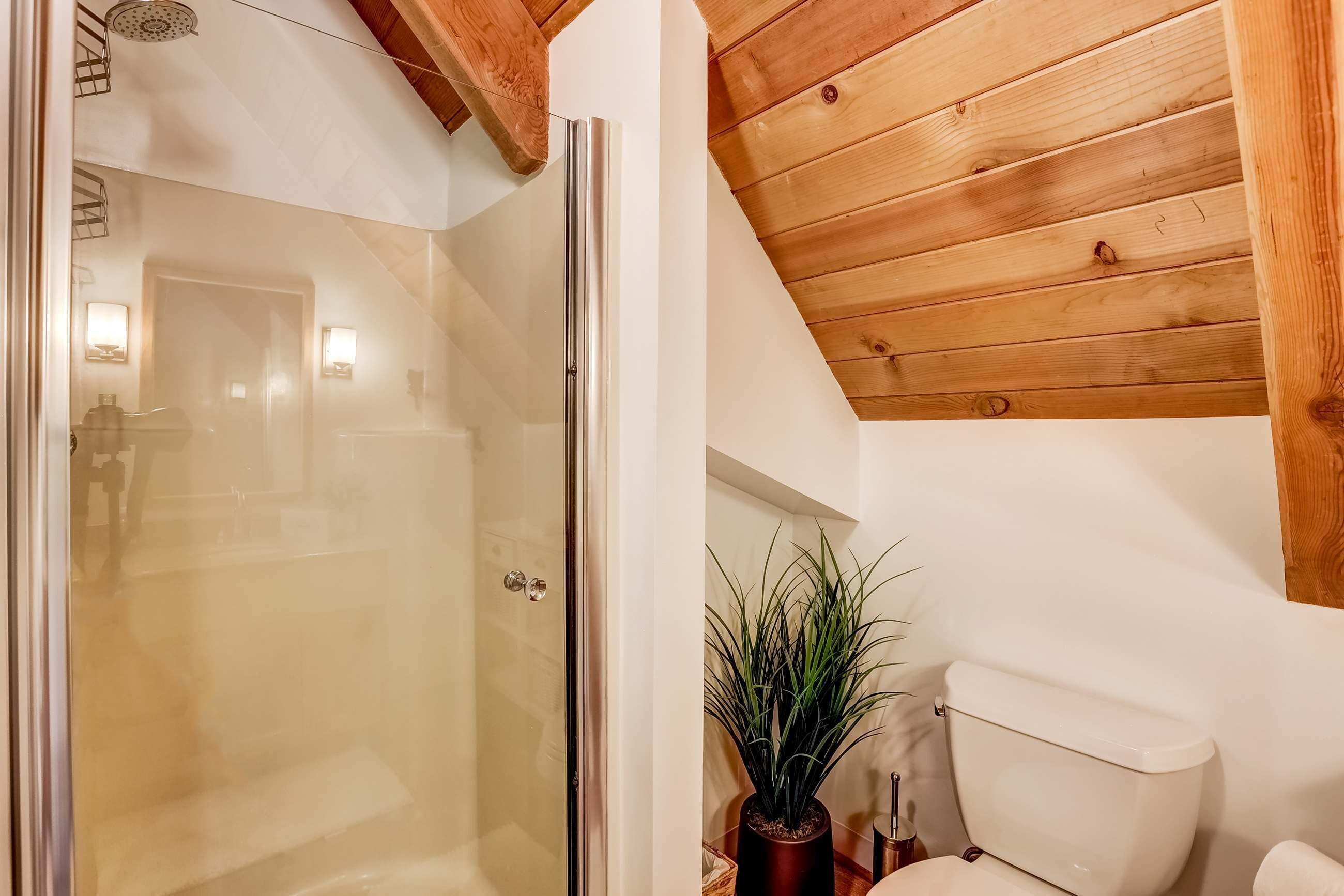 A bathroom with a glass shower enclosure, wooden ceiling beams, a white toilet, and a potted plant.