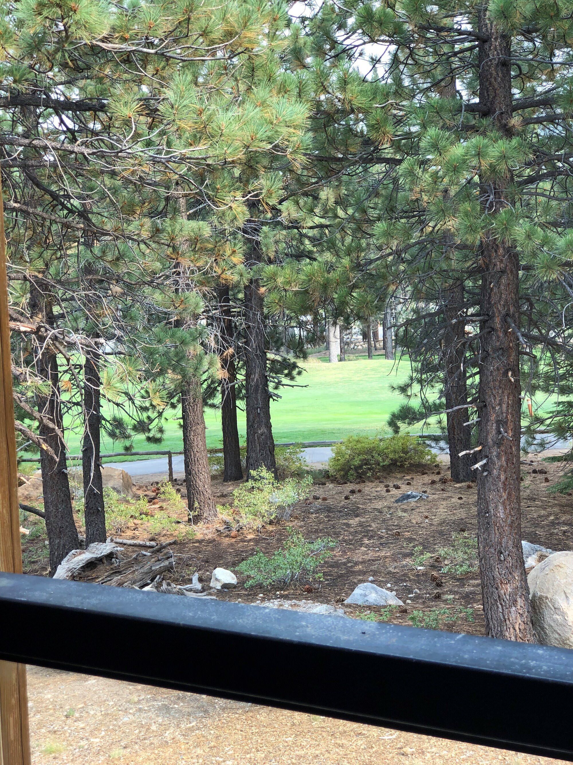 Condo, nhiều giường, sân hiên, quang cảnh núi (Solstice Serenity) | Quang cảnh từ phòng