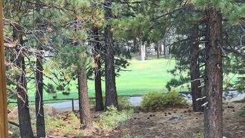 Condo, Multiple Beds, Patio, Mountain View (Solstice Serenity) | View from room
