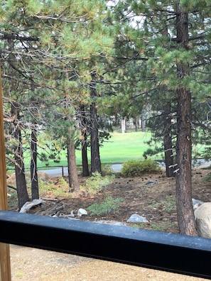 Vista desde la habitación