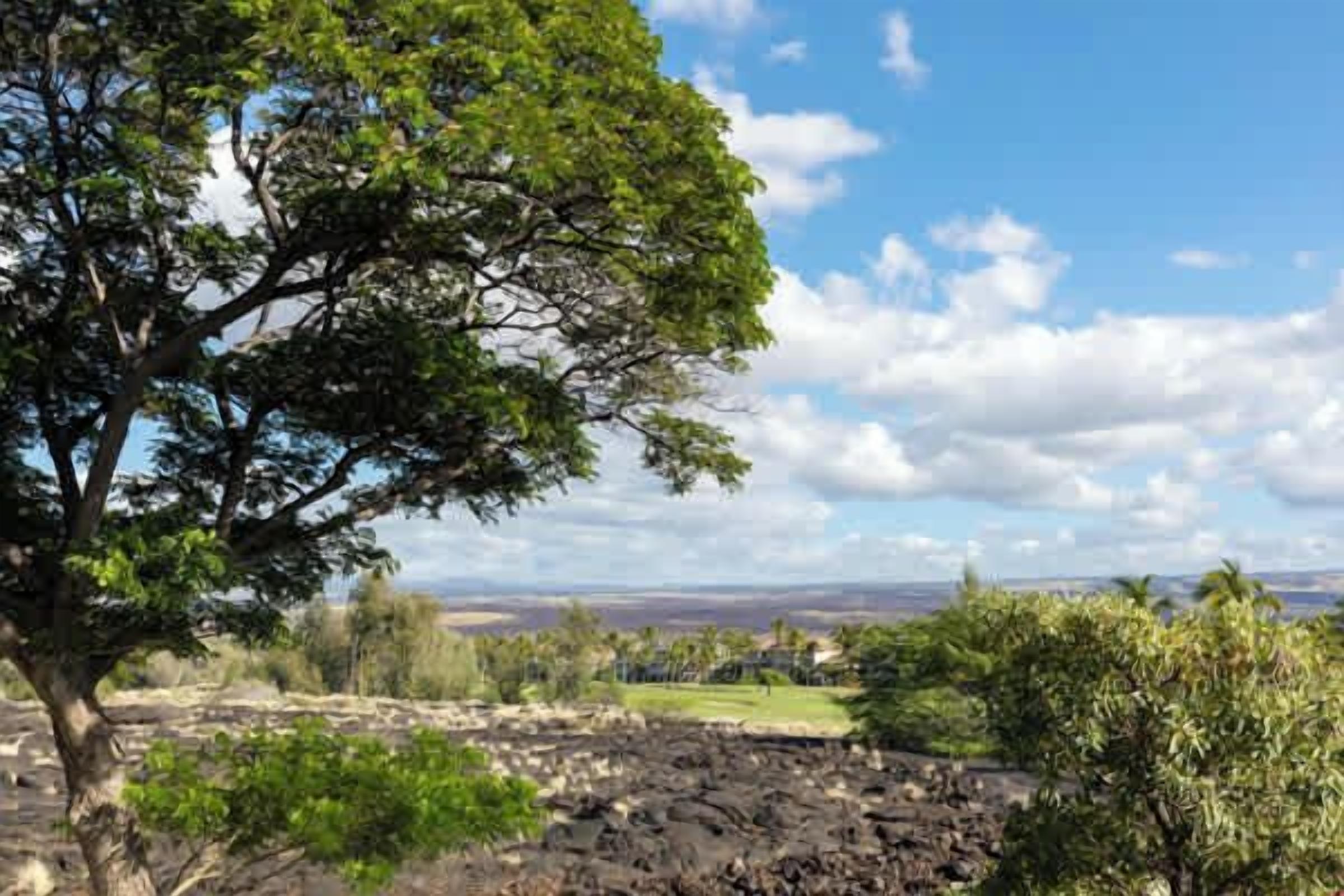 A landscape with a large tree, rocky terrain, and a distant view of a valley.