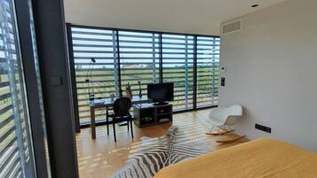 1 chambre