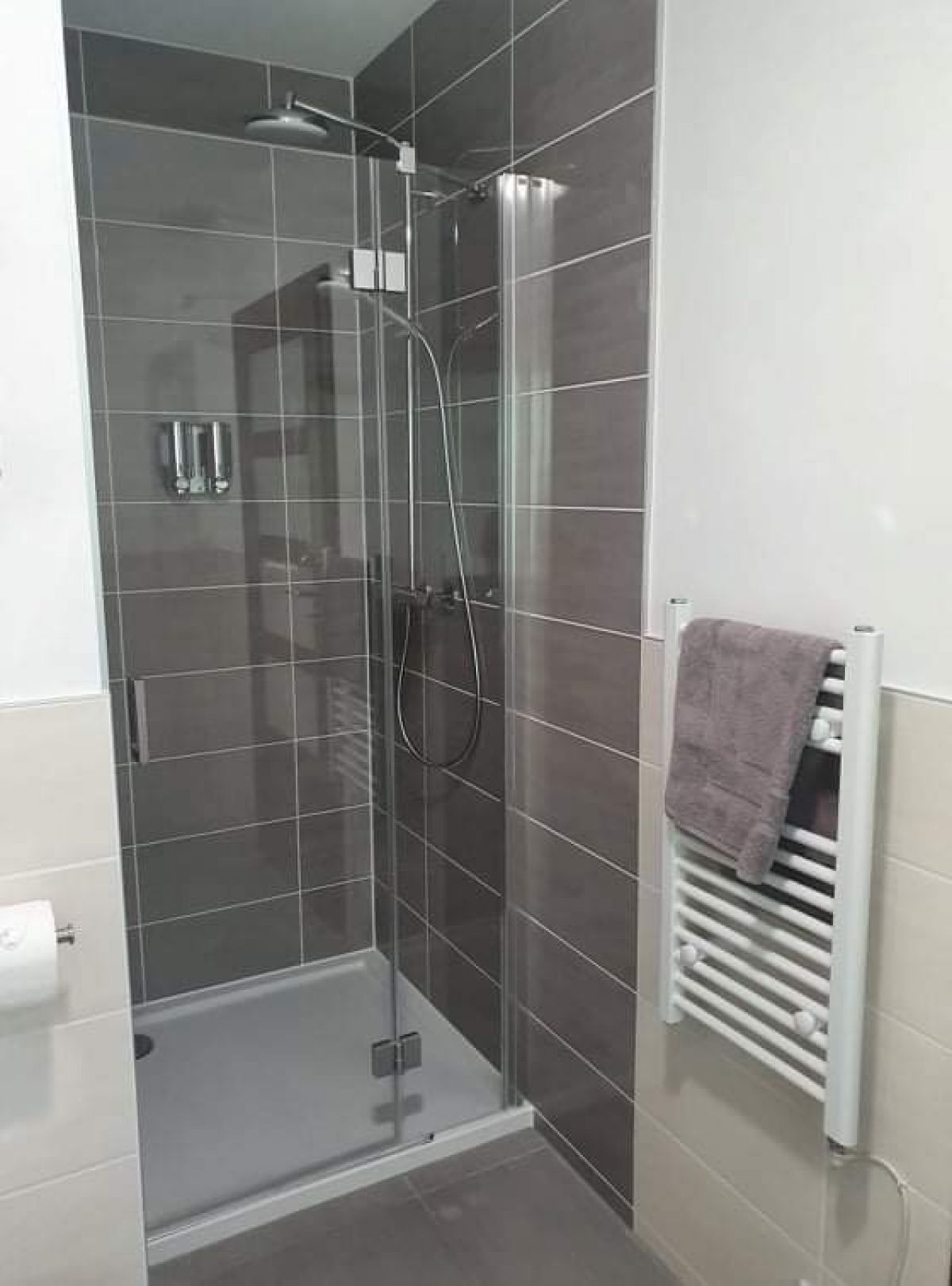 A modern shower enclosure with a glass door, a towel rack, and a white radiator.