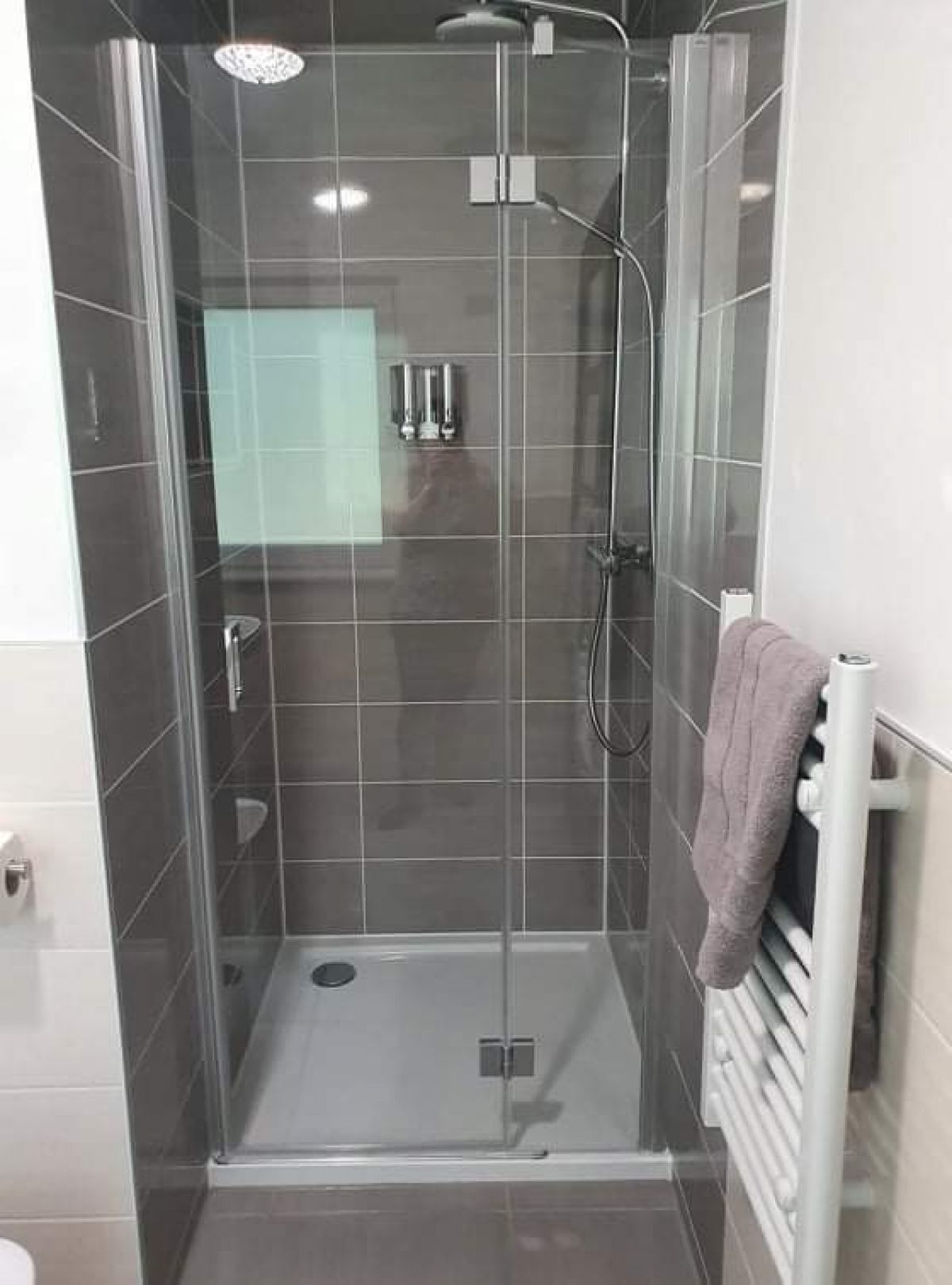 A glass-enclosed shower stall with a handheld showerhead, a handheld shower head, and a wall-mounted faucet.