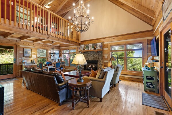 TV, fireplace, books