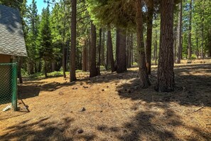 Property grounds - Bear Pause 4BR Large Deck & Balcony (South Lake Tahoe)