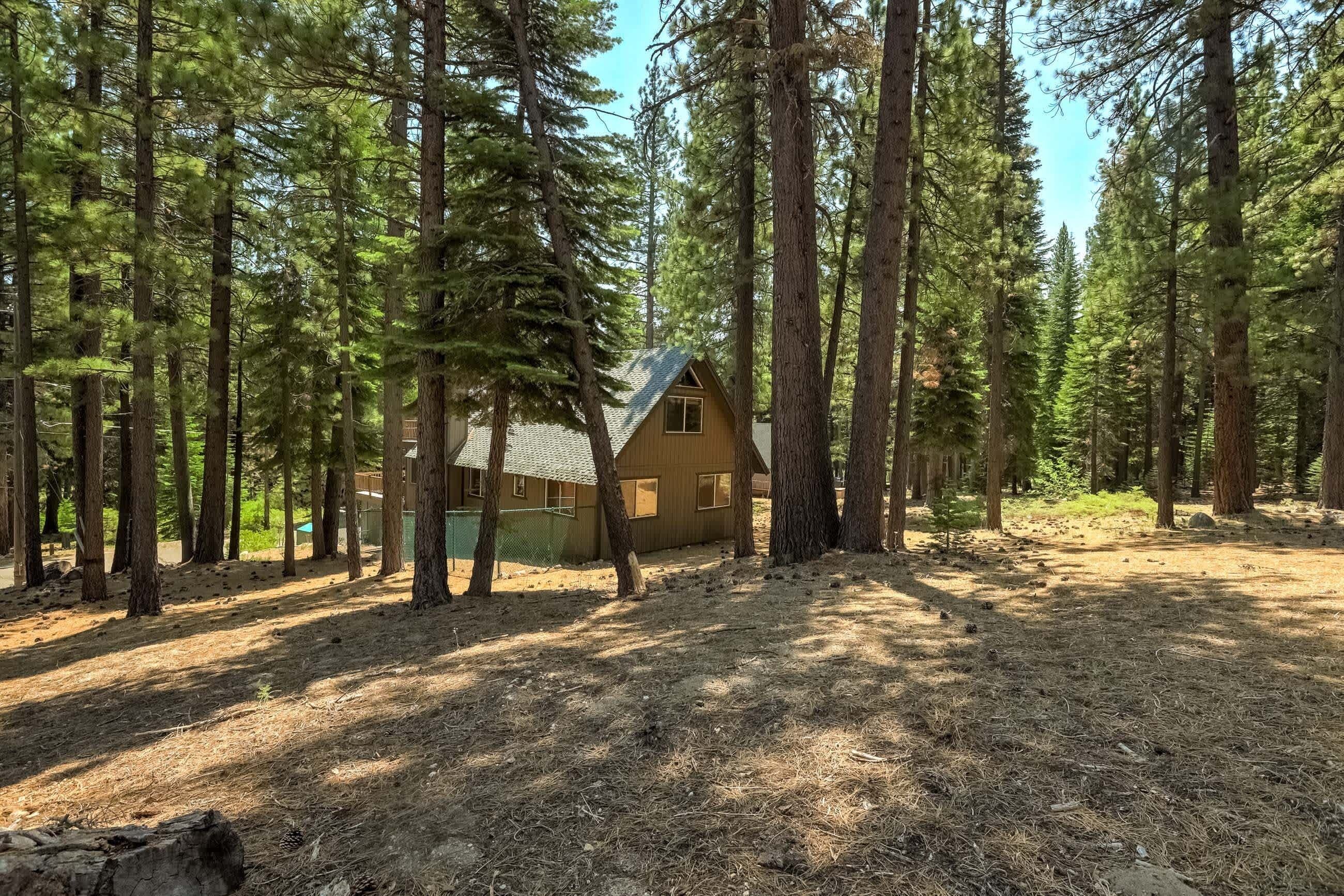 Eine Hütte, umgeben von hohen Kiefern in einem Wald.