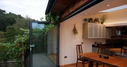 Nature Haven - a forest sanctuary