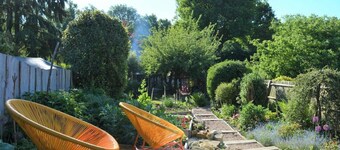 Nature Haven - a forest sanctuary