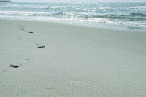 Beach nearby - Terraced House Saintes-Maries Near Beaches (Saintes-Maries-de-la-Mer)