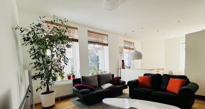 Großes und helles Innenstadt Apartment - Ferienwohnung