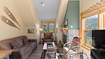 Télévision à écran plat, cheminée, lecteur de DVD