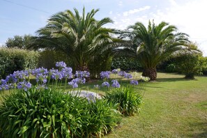 Área da propriedade