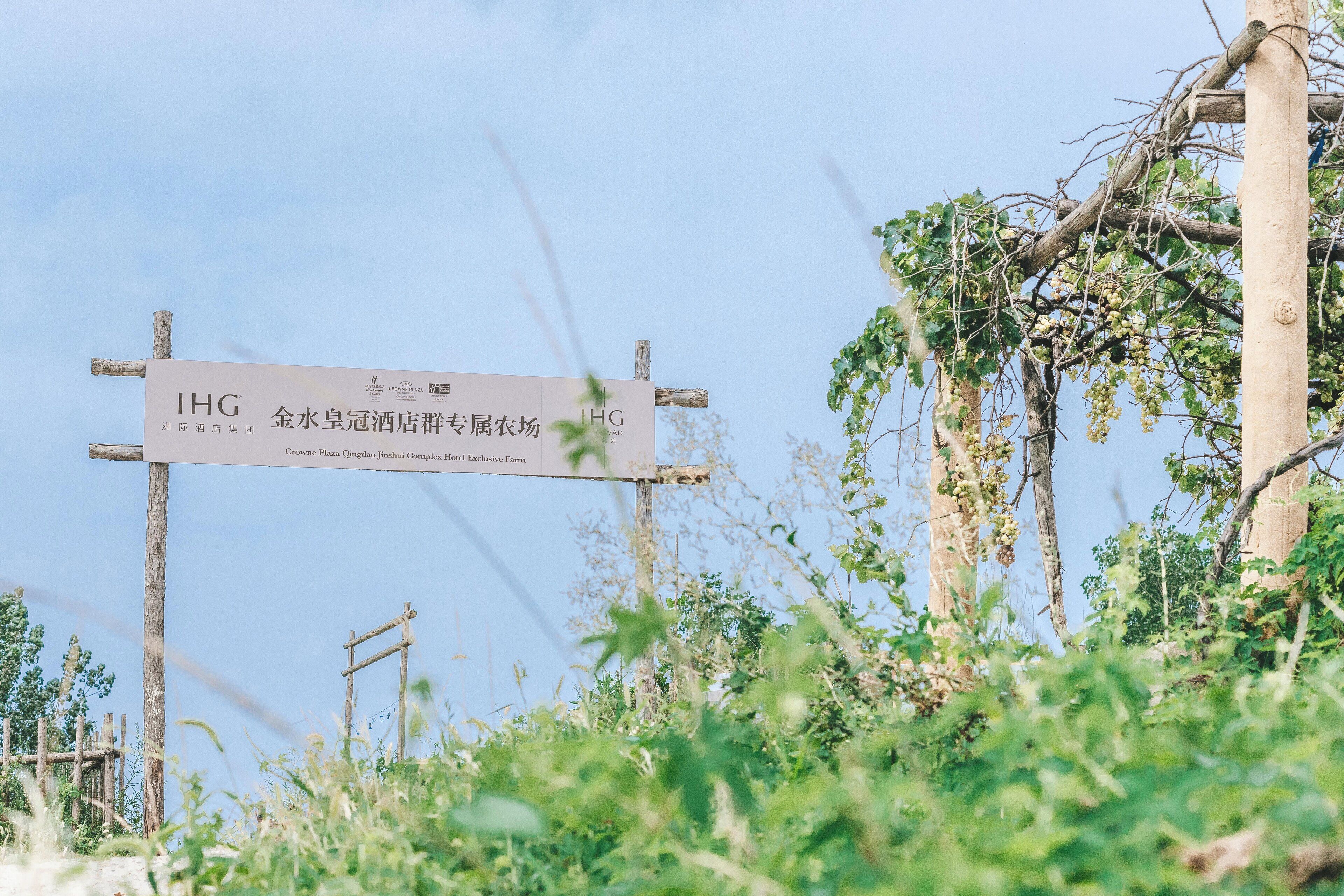 Photo - Crowne Plaza Qingdao Jinshui by IHG