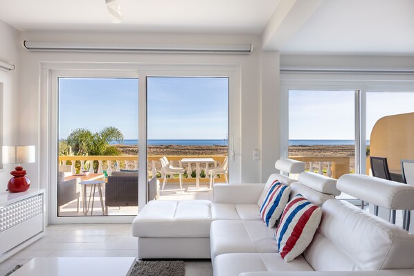 Televisio, DVD-soitin, kirjoja, stereot