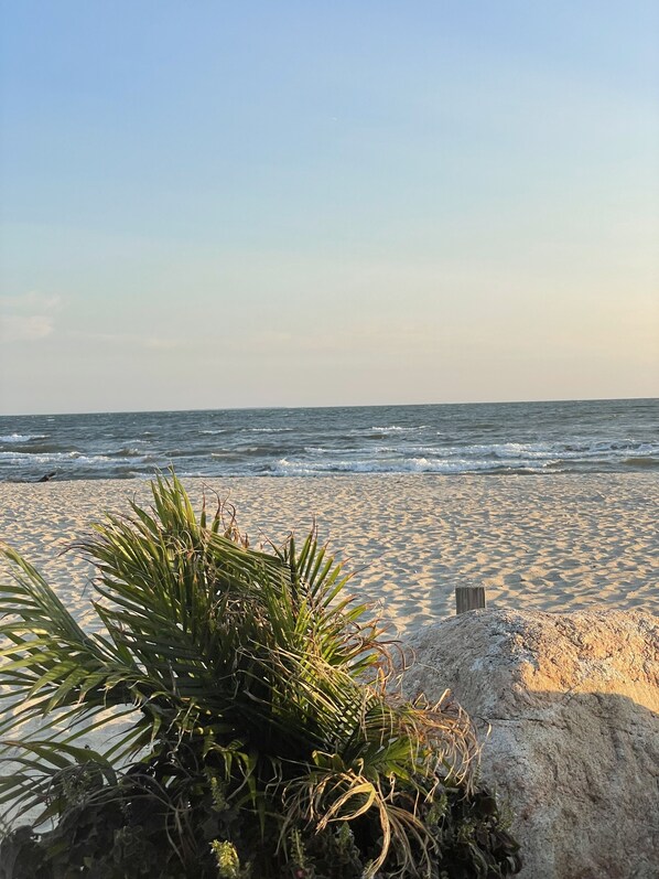 Beach nearby, sun-loungers