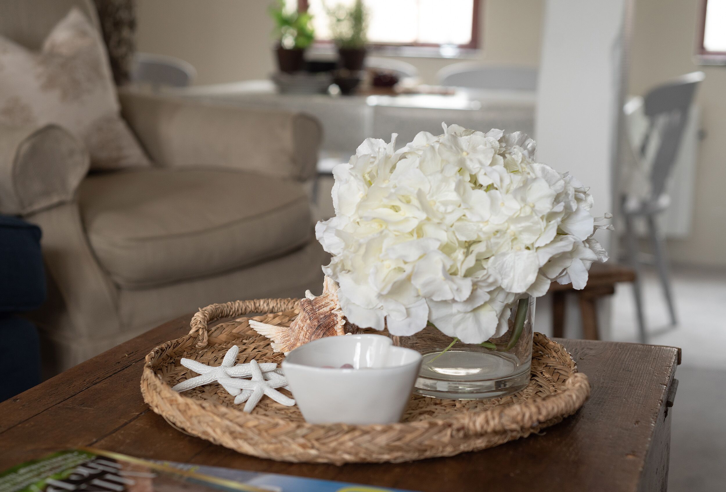 Un soggiorno con un tavolino da caffè decorato con un vaso di fiori bianchi, una ciotola e stelle marine.