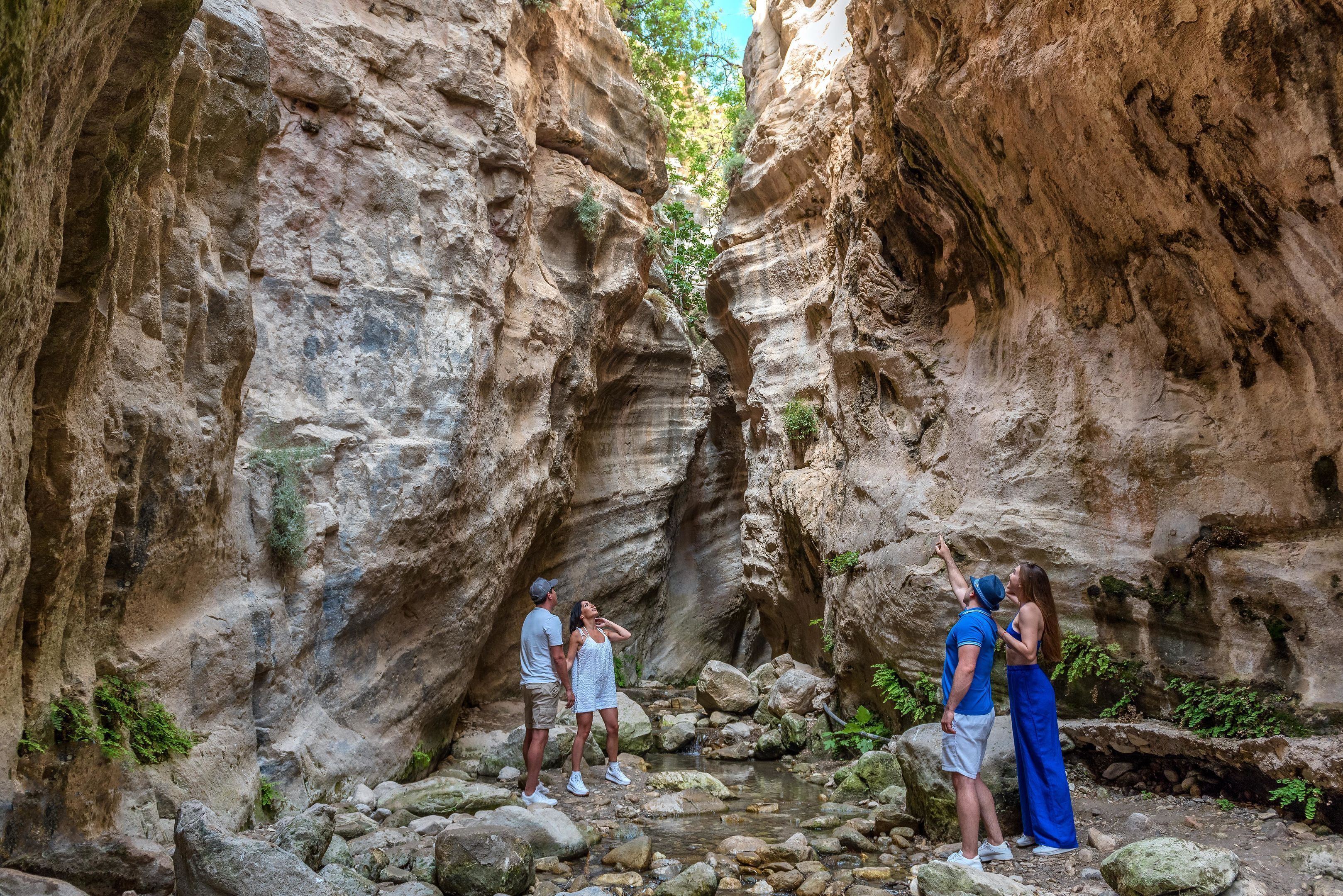 A group of people standing in a rocky canyon with a narrow stream.