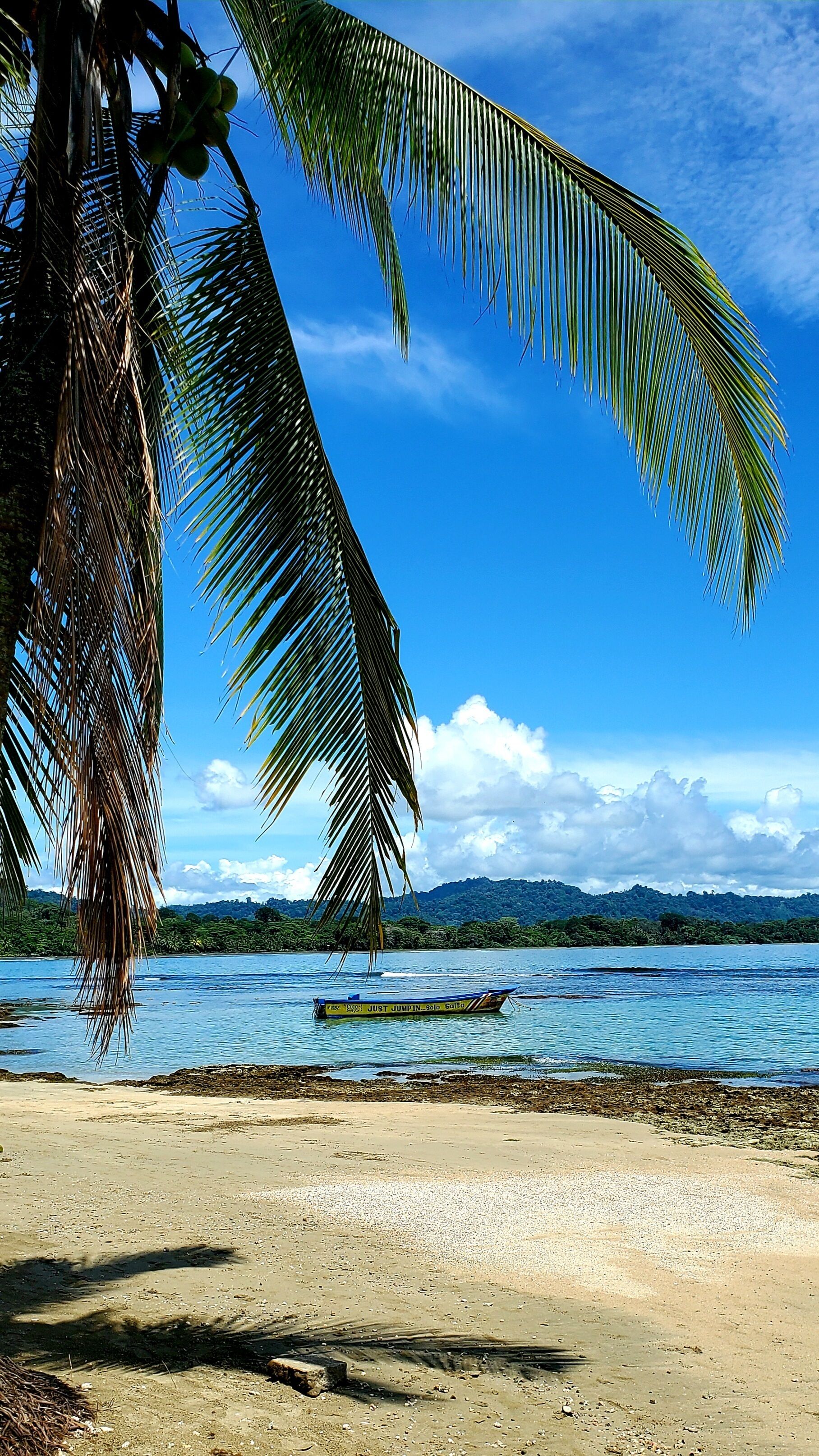 On the beach, sun loungers, beach towels