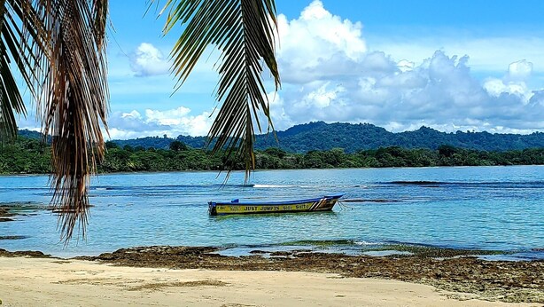 Una playa con un bote en el agua, palmeras y un cielo despejado.
