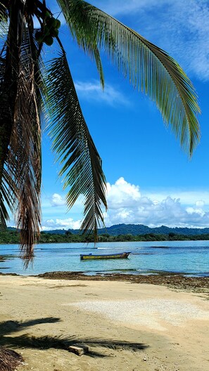 Ein Strand mit einem Boot auf dem Wasser, Palmen und blauem Himmel.