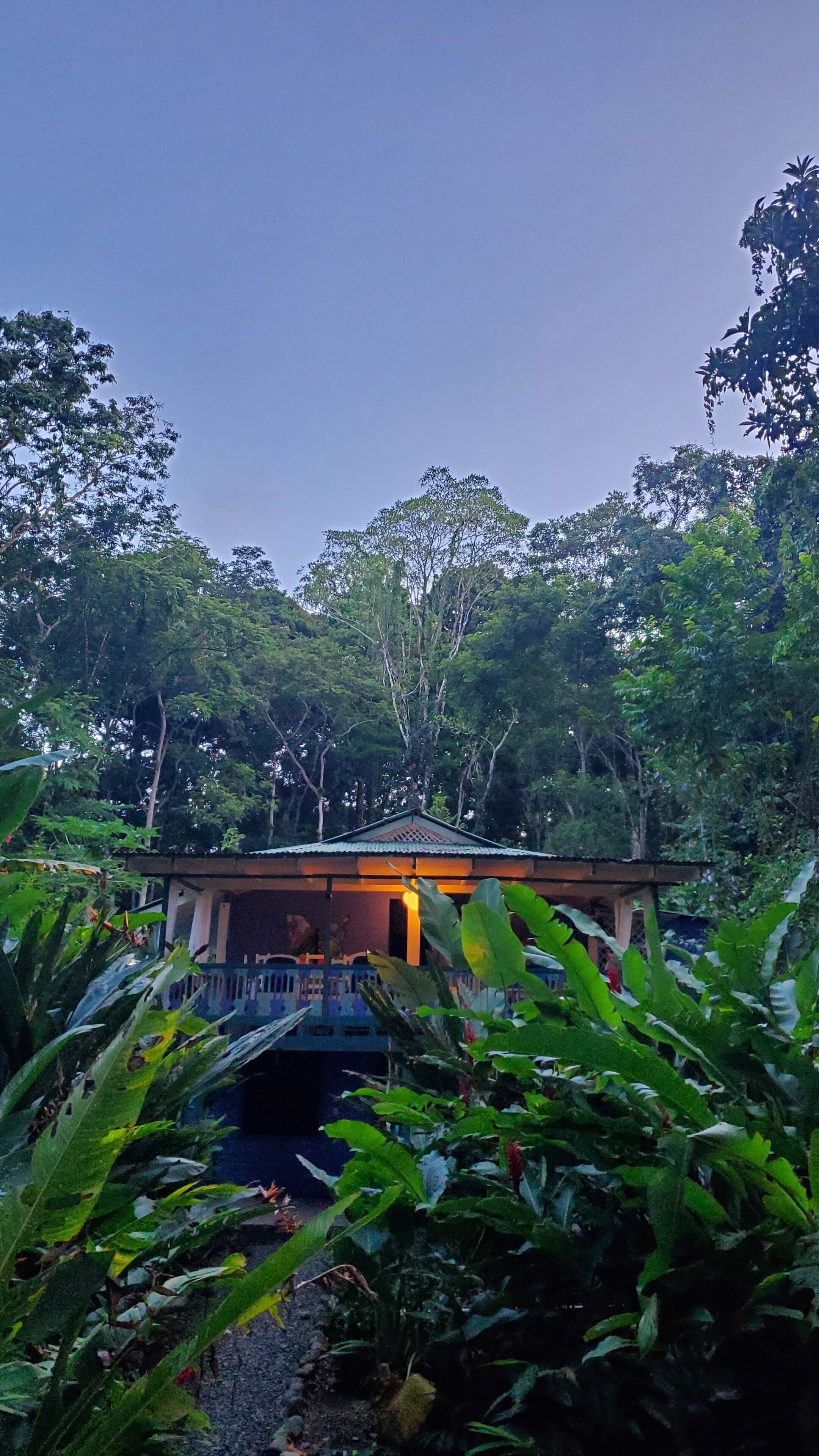 Jardines del alojamiento