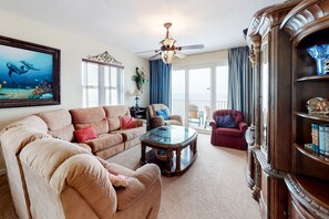 電視、壁爐、DVD 播放機