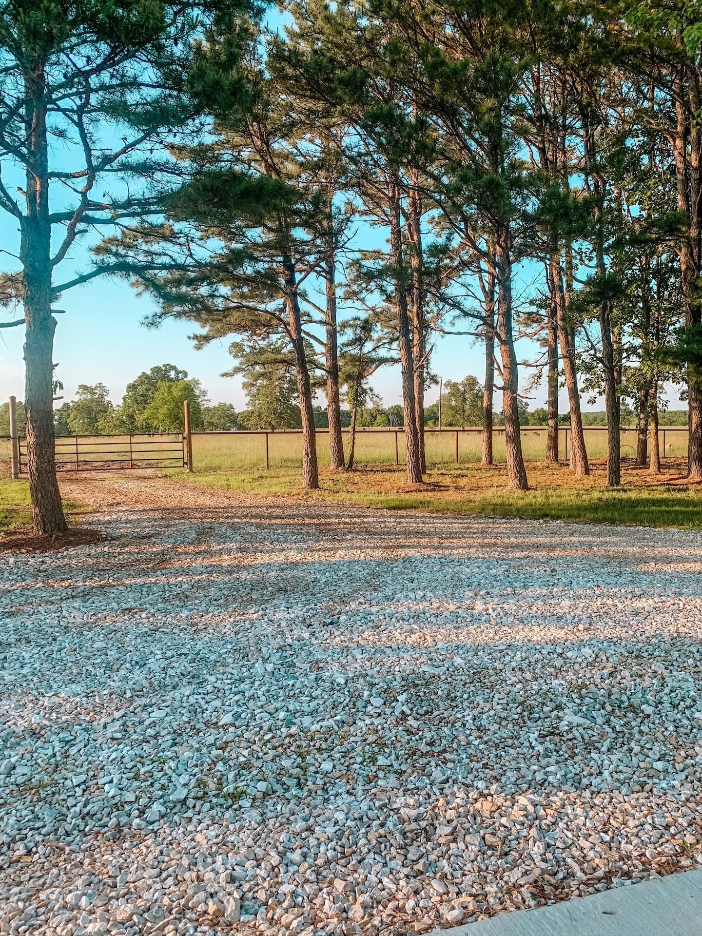 A gravel path with trees and a fence in the background.