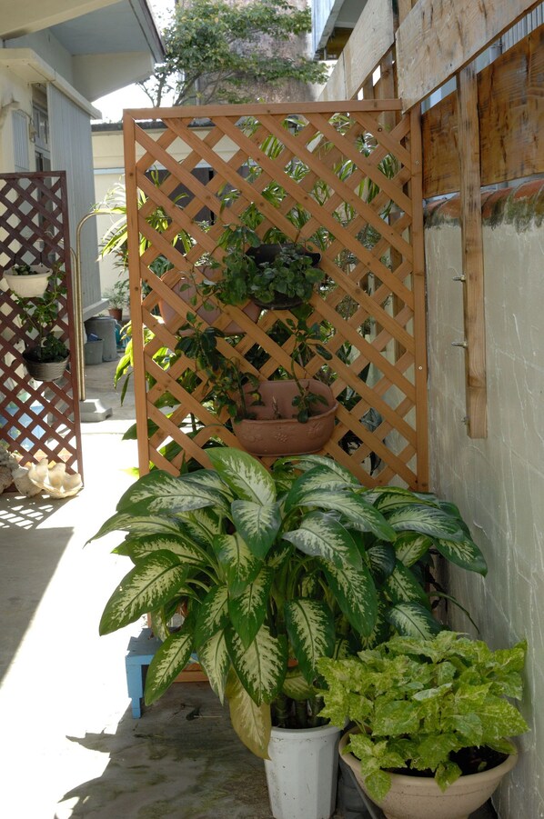A garden area with a wooden lattice fence, potted plants, and a concrete pathway. - Yukuiru (Miyakojima)