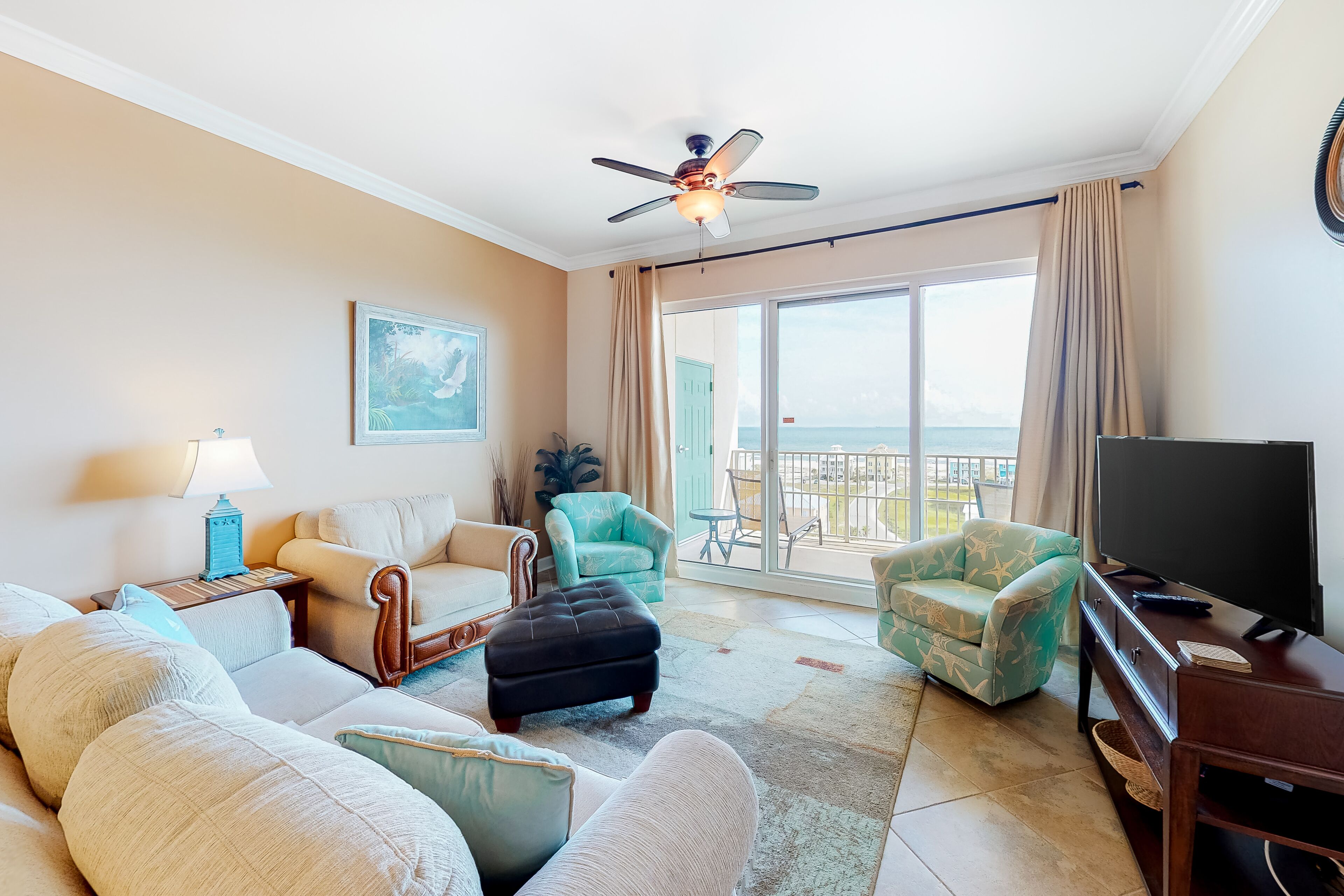 电视、DVD 播放器