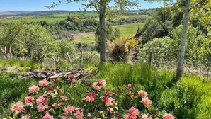 Ein Garten mit blühenden rosa Blumen, einem Holzzaun und Blick auf sanfte Hügel und Bäume im Hintergrund.