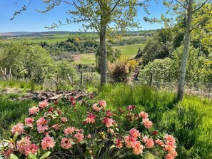 Apartment, Multiple Beds | Exterior