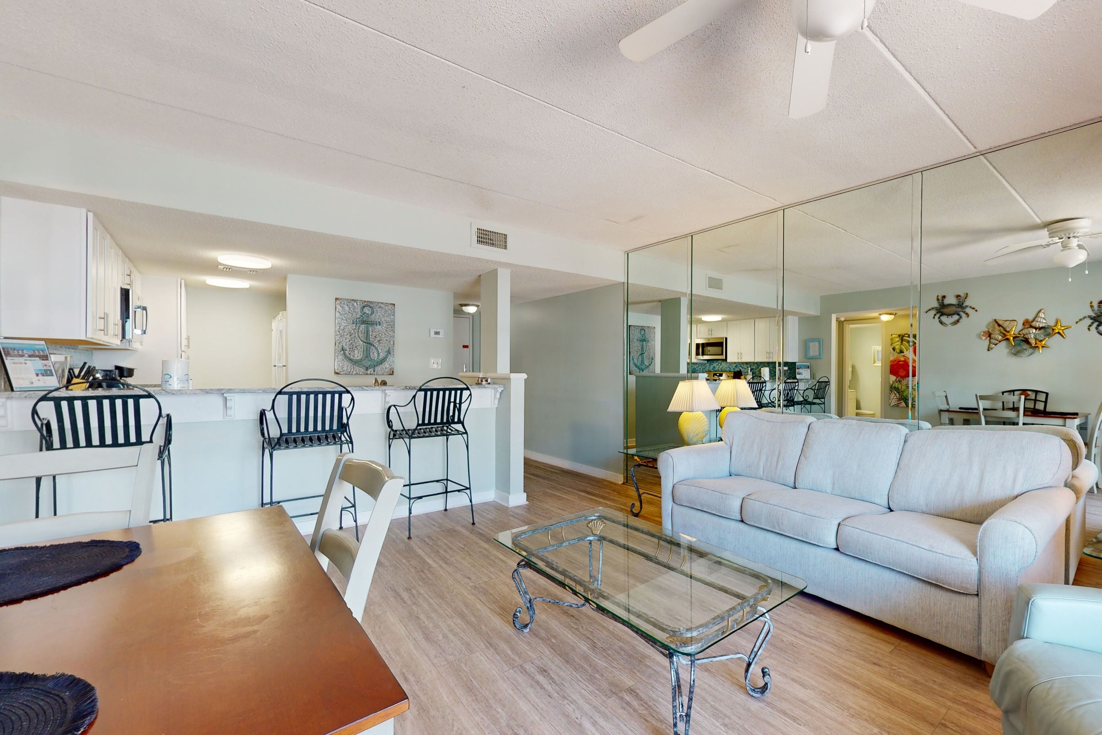 電視、DVD 播放機