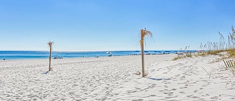 在海灘附近