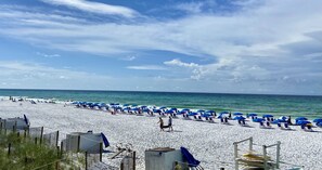 A beach with rows of blue umbrellas and beach chairs, a sandy shore, and the ocean in the background.