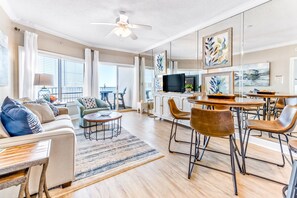 TV, DVD player, books, video library