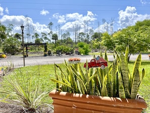 Jardines del alojamiento
