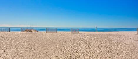 On the beach