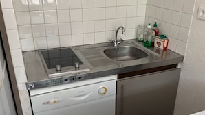 Eine kompakte Küche mit einer Edelstahl-Spüle, einem integrierten Geschirrspüler und einer kleinen Arbeitsplatte.