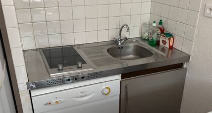 Apartment Gourette 4/6 pers pied des pistes