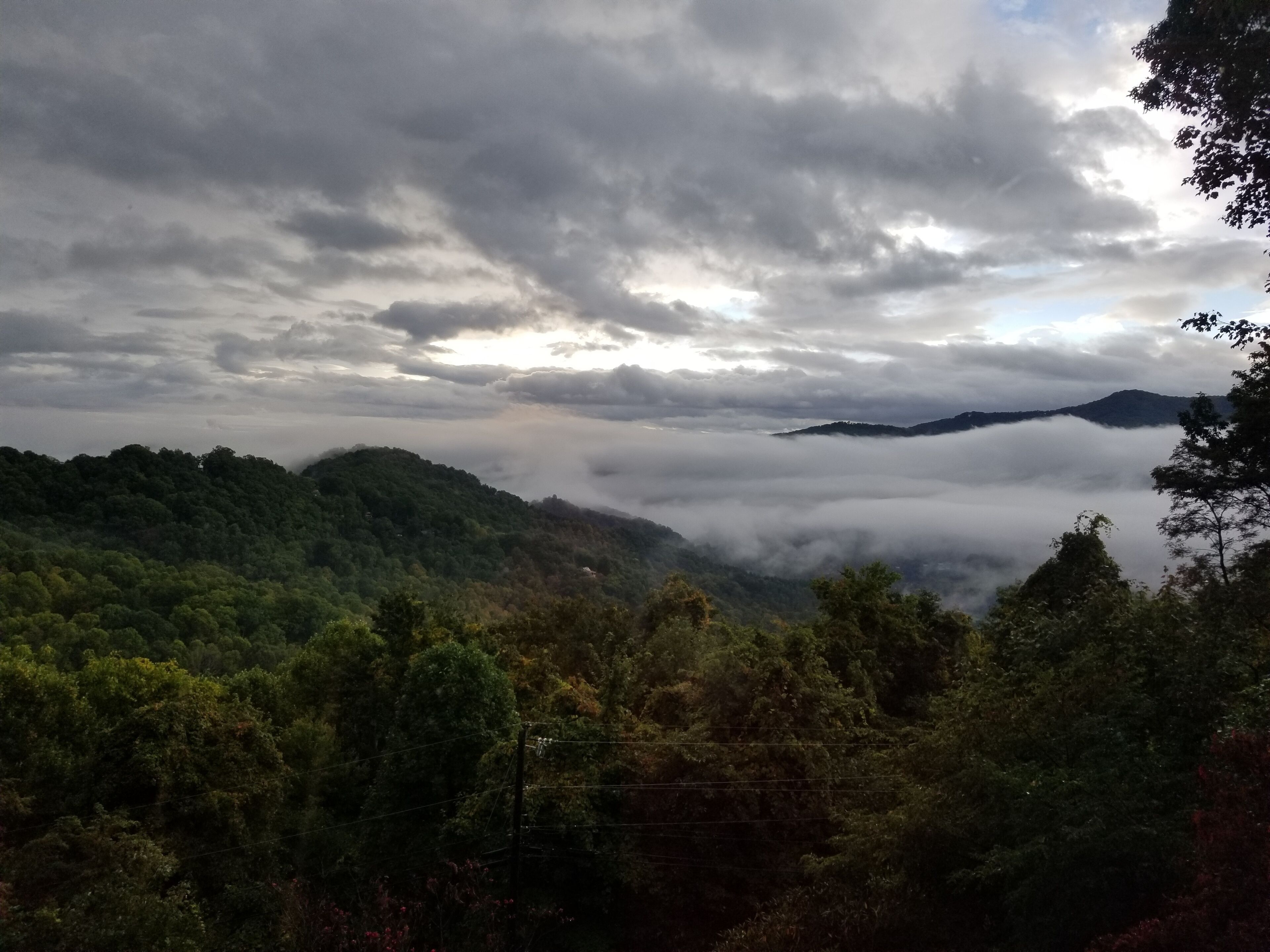 A mountainous landscape with dense forest and a layer of clouds below the peaks.