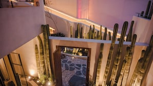 A modern building with a cactus garden and a stone pathway leading to a door.
