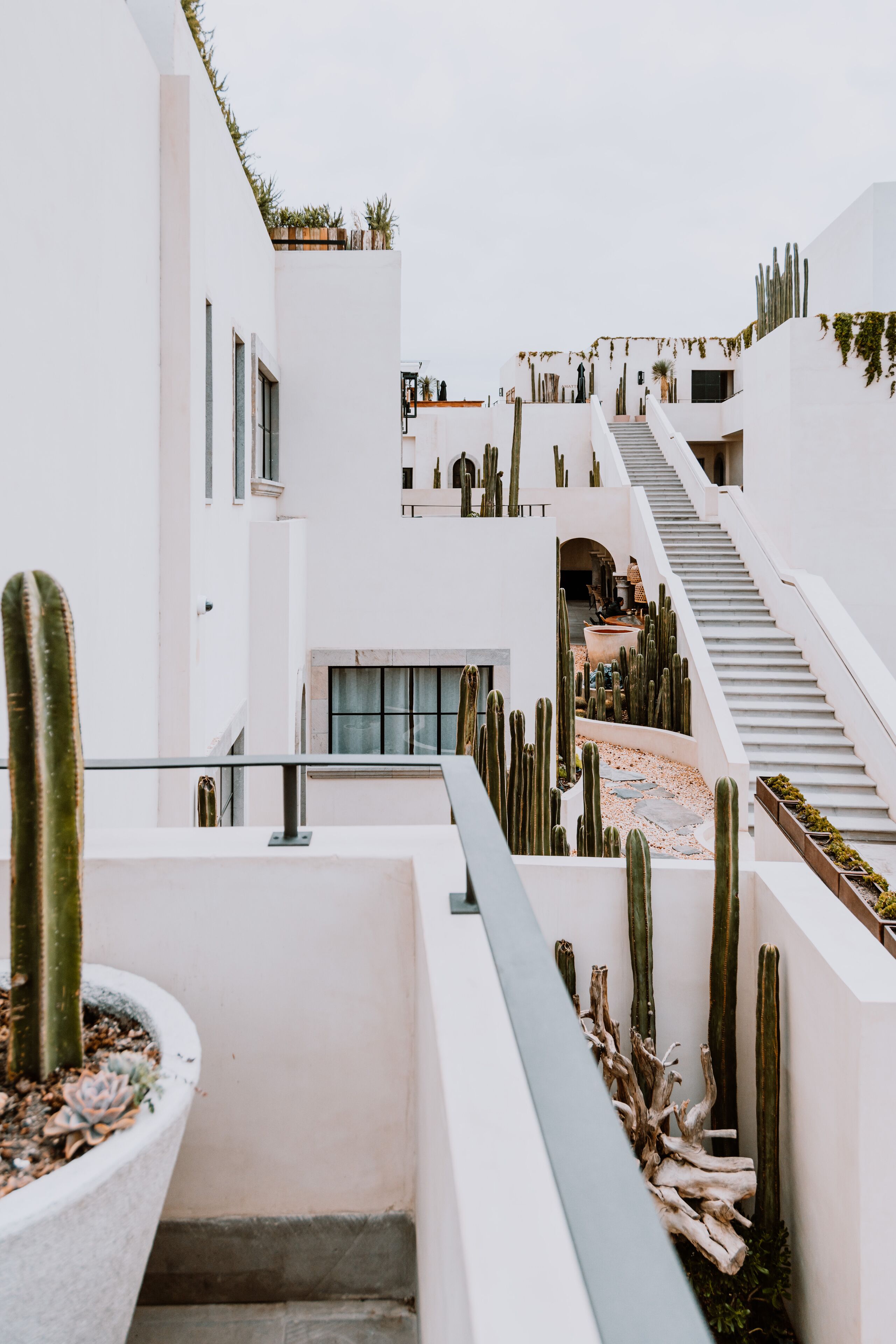 럭셔리 빌라, 침실 2개 | 객실에서 보이는 전망