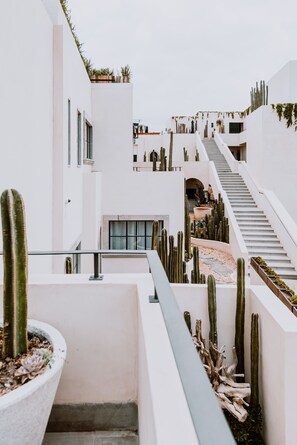 Vista desde la habitación
