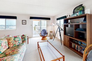 TV, DVD player, books, video library