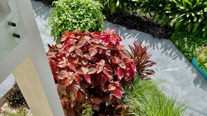 Een tuin met diverse planten en een witte constructie.
